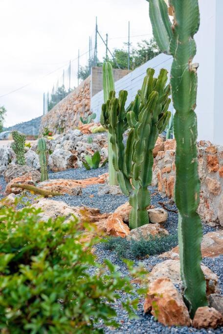 Agro Nostro-Agave With Superb View Villa Ágios Nikolaos Exterior foto